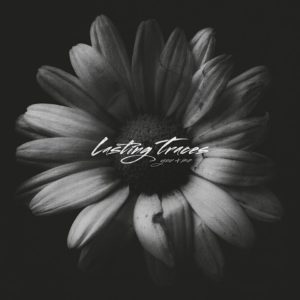 CD-Review - Lasting Traces - You + Me